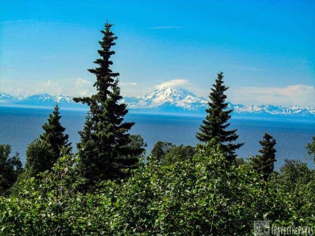 Ocean with snow-capped mountains and Mt Illiamna in the background and green foliage in the foreground from Anchor Point Alaska