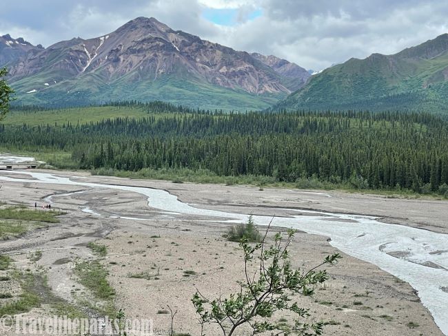 Denali National Park a scenic view of a Teklanika River winding through a green valley with snow-capped mountains in the background.