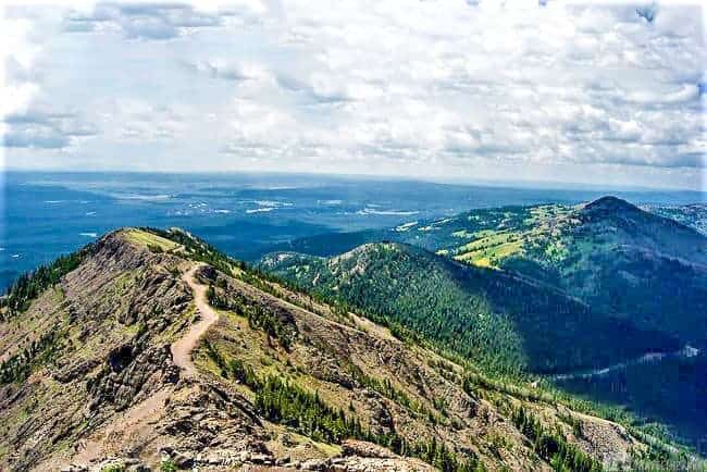 Mount Washburn View, YNP