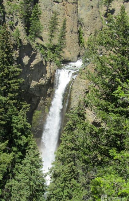 Tower Fall Waterfall cascading down a rocky ravine surrounded by pine trees and rugged rock formations.