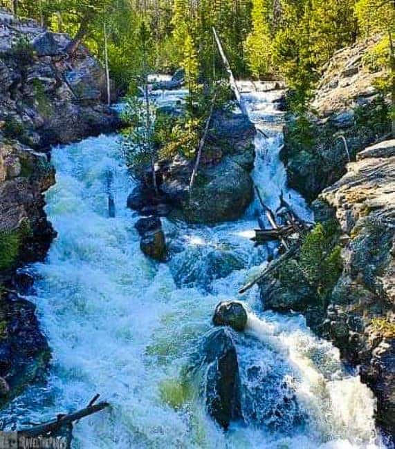A river cascades through rugged rocks and vibrant trees, highlighting the scenic charm of Adams Falls in the background.
