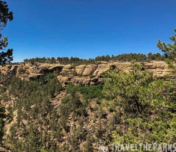 Desert canyon landscape with pine trees and sandstone cliffs in Mesa Verde National Park.