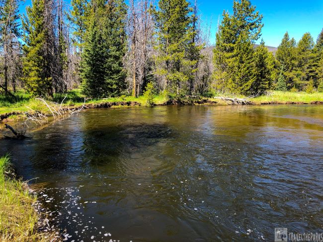 A Colorado river meanders through Rocky Mountain National Park, surrounded by vibrant trees and towering mountains near Coyote Valley Trailhead-Trail Ridge Road