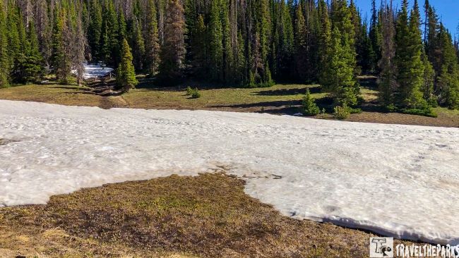 Scenic view of a snow-laden trail in the Rocky Mountain National Park, framed by stunning mountain vistas from the Colorado river Trailhead