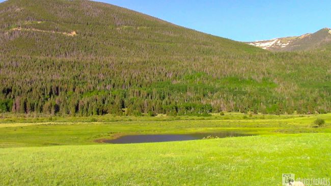 Sheep Lakes a picturesque mountain with vibrant trees and grassy slopes, capturing the essence of the great outdoors. Rocky Mountain NP