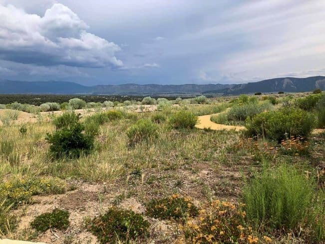 Mesa Verde open landscape with grasses, shrubs, and a mountain range under a cloudy sky.