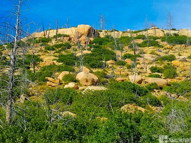 Mesa Verde landscape with boulders, sparse trees, and a flat-topped rock formation under a blue sky.