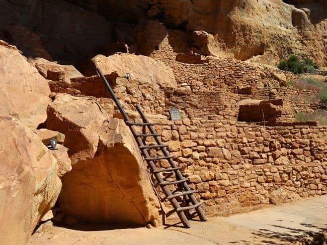 Step House Cliff dwelling with stone walls and a wooden ladder against a rock in Mesa Verde National Park