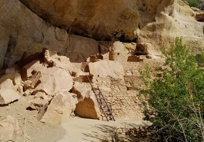 The cliff dwelling known as Step house. It is situated beneath an overhanging cliff face, showcasing the natural rock formations above. The dwelling is constructed from stacked square stones set against the cliff wall. A wooden ladder leans against the structure, leading from the ground to the first level, which is partially built into the rock face. The area around the structure is a mix of large boulders and a small tree with green foliage on the right side. The ground is composed of dirt and small stones, and the entire scene is bathed in warm sunlight.