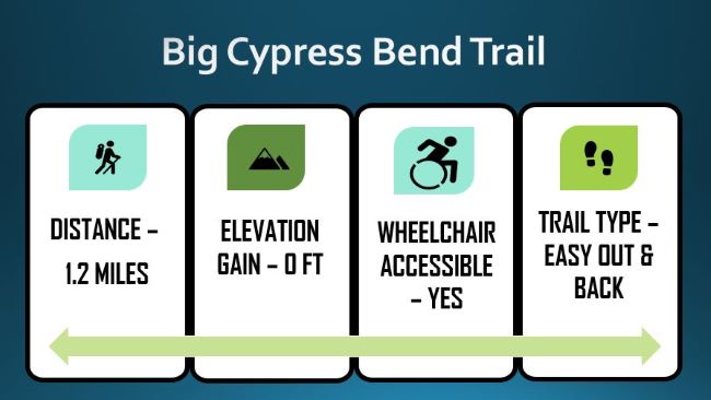 big-Cypress-Bend-Trail-Stats-Big Cypress National Preserve