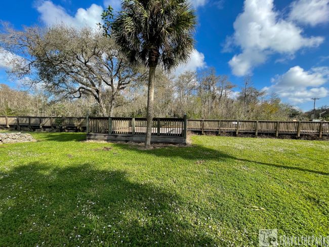 H.P Williams Road-side Park-A green lawn with a palm tree, a wooden fence, and leafless trees under a blue sky with clouds