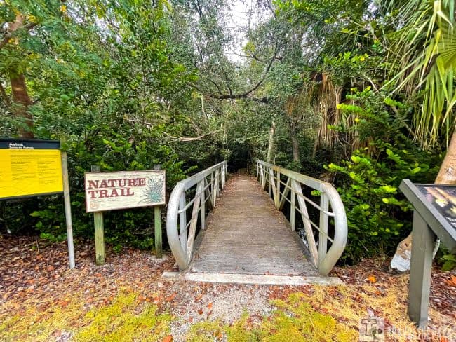 Entrance to a Tree Snail Hammock nature trail with a wooden bridge and metal railings surrounded by dense forest vegetation.