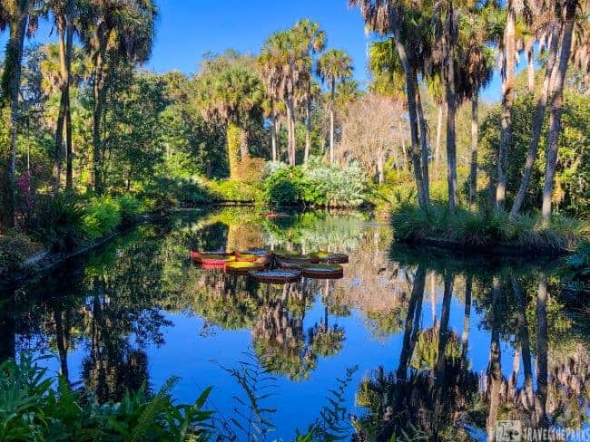 Bok Tower Gardens Koi Pond-A tranquil pond surrounded by palm trees with colorful lilies floating on the water.
