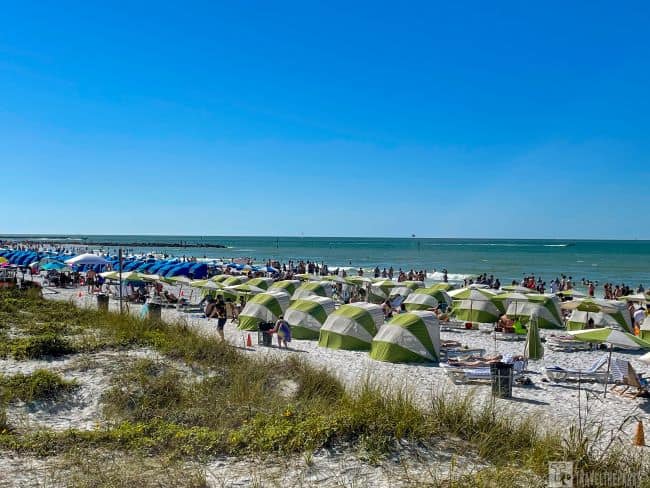 Crowded Clearwater Beach with green and white umbrellas under a clear blue sky.
