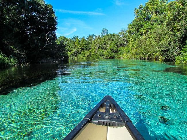 Weeki Wachee Springs, Florida-Canoe on clear turquoise water surrounded by lush green trees under a bright blue sky.