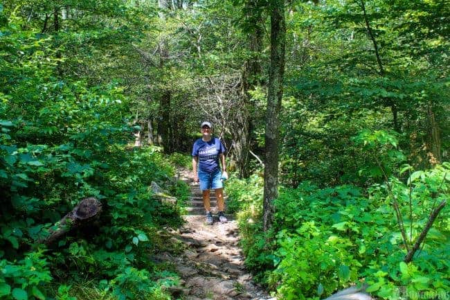 Bearface mountain Trail with me