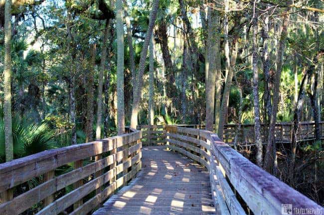 Boardwalk along the Blue Springs