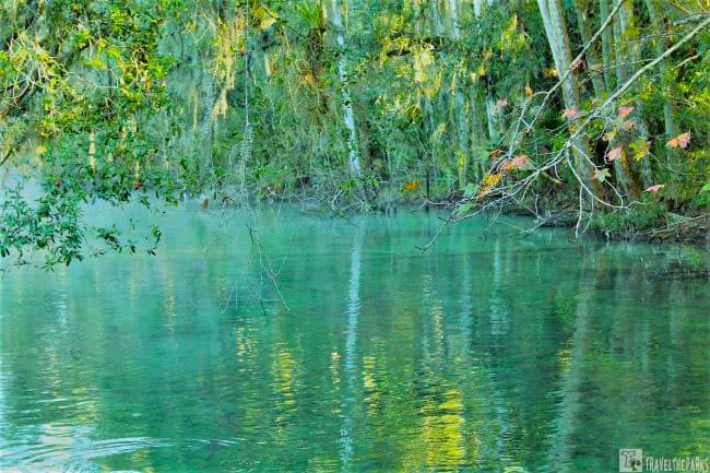 Fall trees reflected in Blue Springs Pool