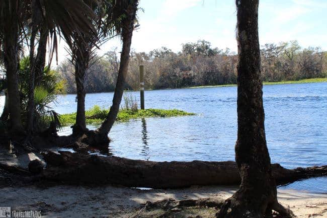 St Johns River Tour