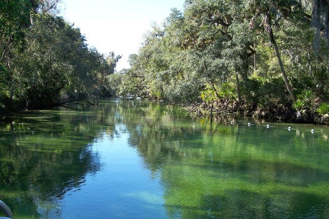 Blue Springs Swimming Run