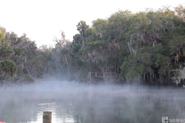 Fog rising off the St John's River at Blue Springs