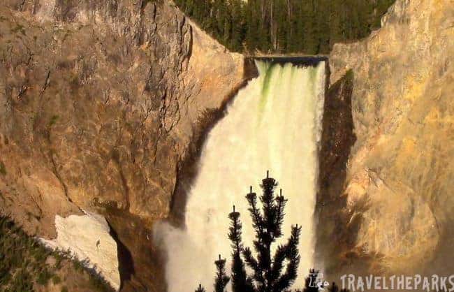 Yellowstone Lower Waterfall in a canyon with a rainbow, surrounded by dense forest and a clear sky.