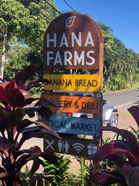 a colorful wooden sign for "Hana Farms" against a backdrop of lush greenery. The sign consists of several stacked, differently colored panels with a curved top featuring a leaf graphic. The top section is brown with large white letters spelling "HANA FARMS." Below are horizontal stripes in yellow, orange, and blue with the text “BANANA BREAD,” “BAKERY & DELI,” and “LOCAL MARKET.” At the bottom, small white icons depict a fork and knife, a man and woman, a Wi-Fi symbol, and a gift. Surrounding the sign are red and green plants, and a road with a vehicle is visible in the background under a clear blue sky.
