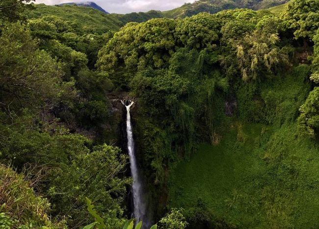 Makahiku-A waterfall flowing through dense green foliage with distant hills in the background.