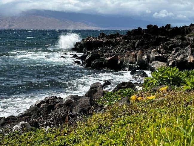  a coastal maui landscape with jagged, dark volcanic rocks lining the edge of the shoreline. Waves crash against the rocks, creating white foam and spray that contrasts with the deep blue of the ocean. In the foreground, lush green vegetation and small yellow plants cover the ground, adding a splash of color to the scene. In the background, a rugged, mountainous landmass is seen across the water, partially obscured by cloud cover, adding depth and tranquility to the seascape.