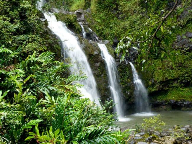 Three cascading streams of the Upper Waikani – Three Bears Waterfall surrounded by lush greenery.

