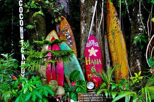 Colorful surfboards stand among tropical plants with "Aloha," "Hana," and "Mile" written on one.