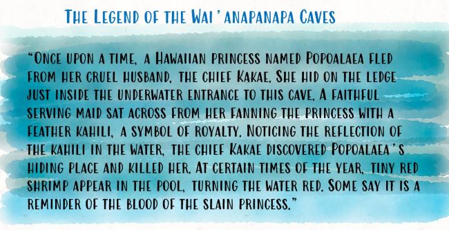 The Legend of the Wai’anapanapa Caves
“Once upon a time, a Hawaiian princess named Popoalaea fled from her cruel husband, the chief Kakae. She hid on the ledge just inside the underwater entrance to this cave. A faithful serving maid sat across from her fanning the princess with a feather kahili, a symbol of royalty. Noticing the reflection of the kahili in the water, the chief Kakae discovered Popoalaea's hiding place and killed her. At certain times of the year, tiny red shrimp appear in the pool, turning the water red. Some say it is a reminder of the blood of the slain princess.”