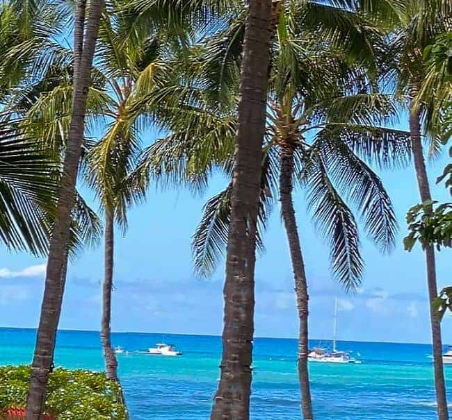 Maui Valley Isle palm trees overlooking a tranquil blue ocean with boats in the distance.