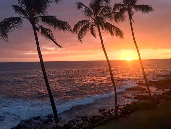 Sunset over the ocean in magical valley isle of Maui with silhouetted palm trees.

