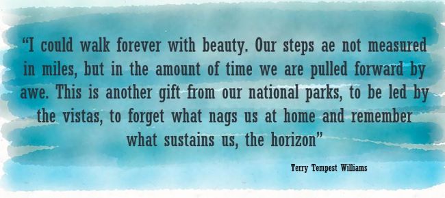 “I could walk forever with beauty. Our steps ae not measured in miles, but in the amount of time we are pulled forward by awe. This is another gift from our national parks, to be led by the vistas, to forget what nags us at home and remember what sustains us, the horizon”