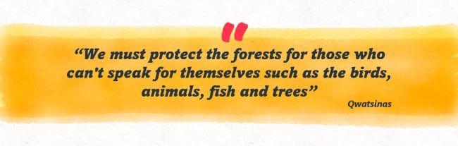 We must protect the forests for those who can't speak for themselves such as birds, animals, fish and trees