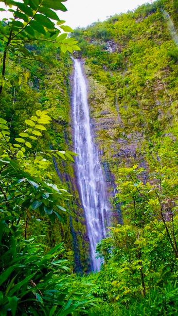 Road to Hana-Waiamoku Falls-A tall waterfall flowing down a rocky cliff surrounded by dense green foliage.