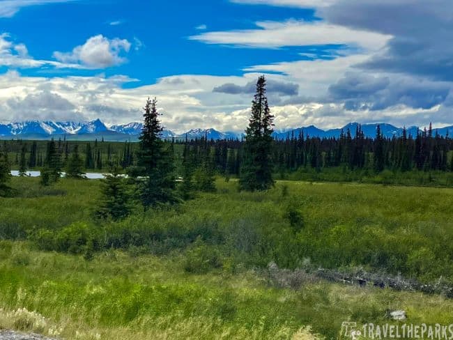 Denali National Park a landscape with greenery, evergreen trees, a pond, and snow-capped mountains of the Alaska range under a blue sky.