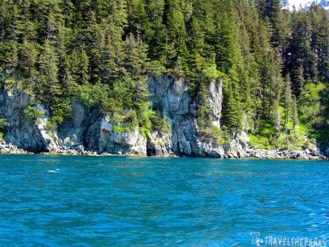 Rocky Mountain Ocean Cliffs a picturesque scene of Resurrection Bay, highlighting the calm waters and vibrant wildlife encountered on a Major Marine cruise.