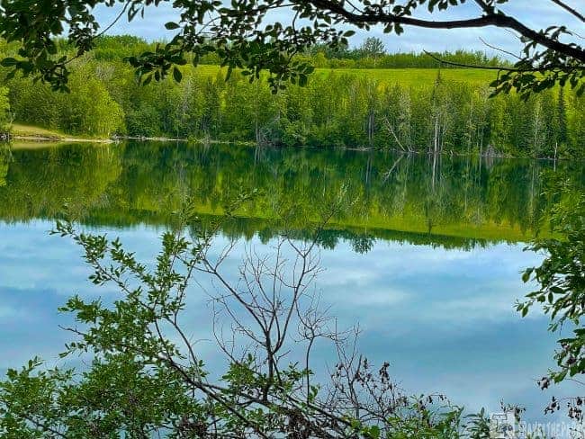Matanuska Lakes State Recreation Area: A serene lake with a perfect reflection of trees and an overcast sky, framed by foreground branches a must see stop on the Glenn Highway Scenic Byway.

