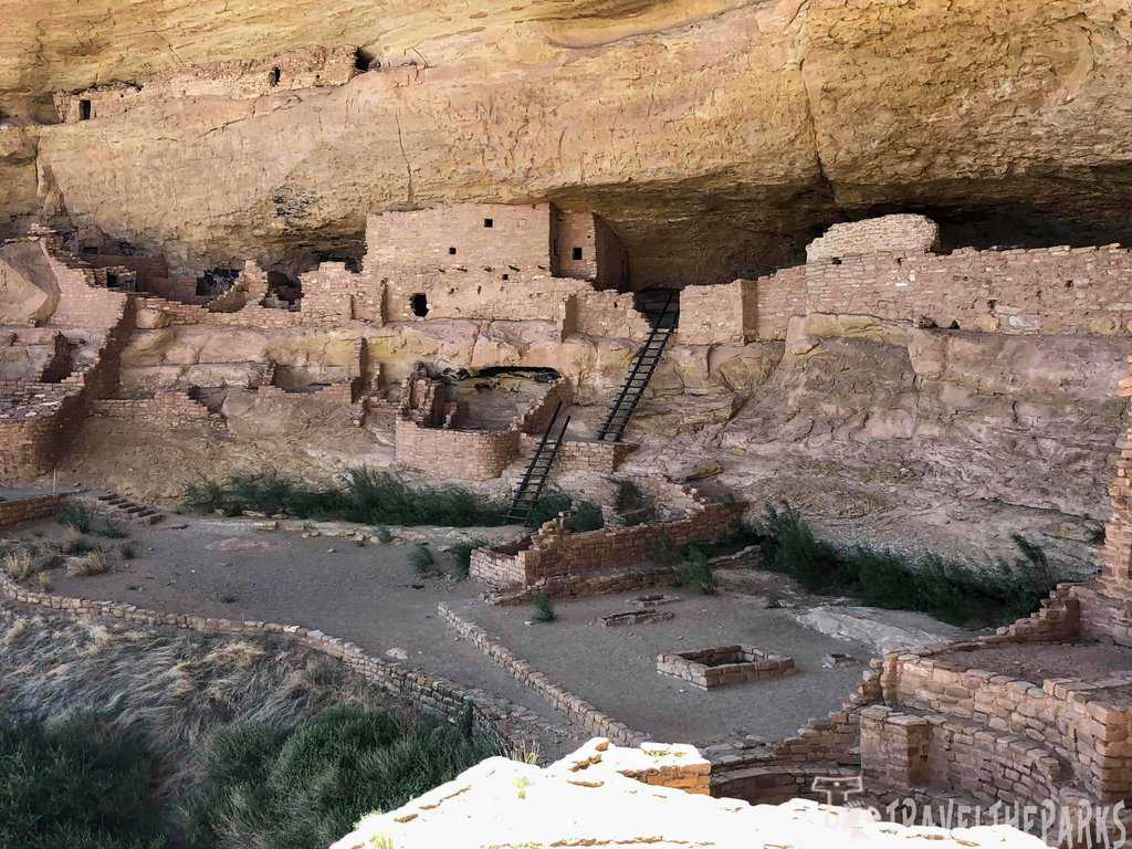 Ancient Long House cliff dwelling with sandstone walls and ladders under a rocky overhang. Vegetation grows in the foreground.