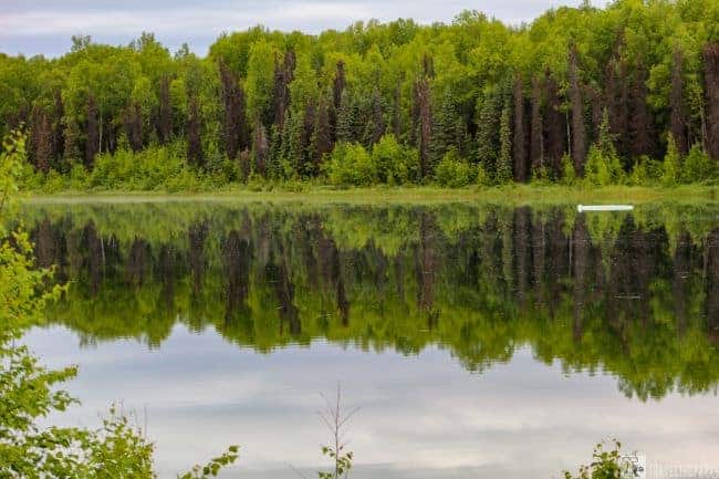 Sunshine Lake Reflection-A calm lake with a dock, chairs, and a dinghy, surrounded by dense green forest.