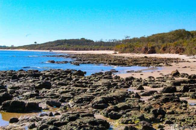 Black Rocks Beach @ Big Talbot Island