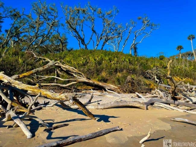 Beach bluffs @ Boneyard beach