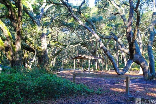 Bluff Picnic Area Big Talbot lsland