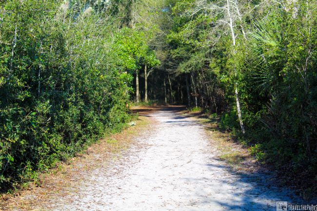 Bluffs Trail to Boneyard Beach