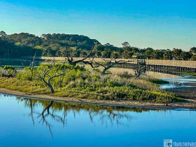 Boardwalk @ SpoonBill Pond