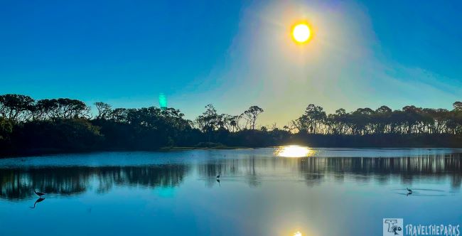 Sunset over a Spoonbill Pond with silhouetted trees on the horizon and birds in the foreground.