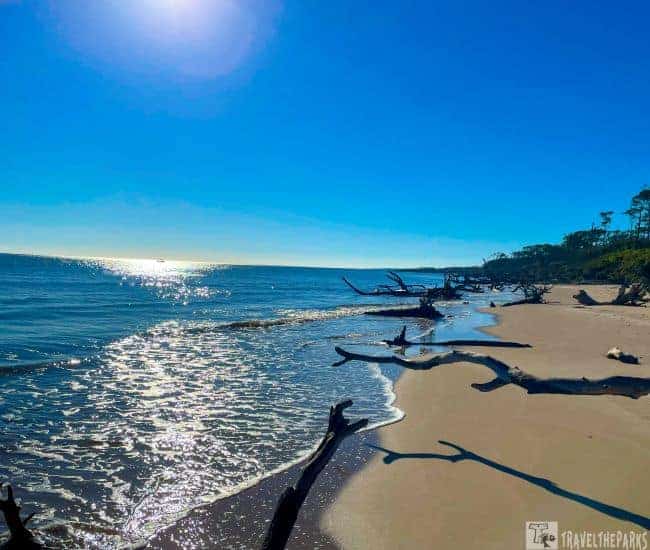 View Down the Boneyard Beach