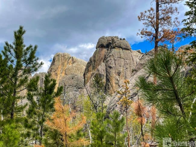 One of the must see destinations in the Black Hills are the Rocky Spires of the Needles South Dakota-Rugged rock formations with pine trees and a cloudy sky.
